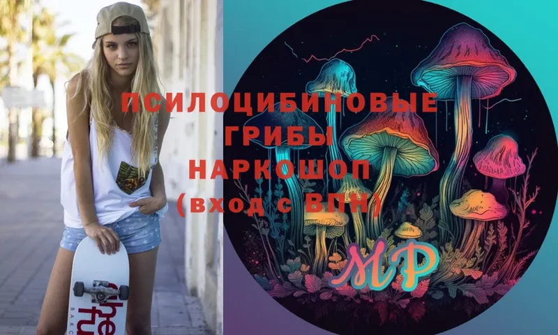 Галлюциногенные грибы Psilocybe  Корсаков 